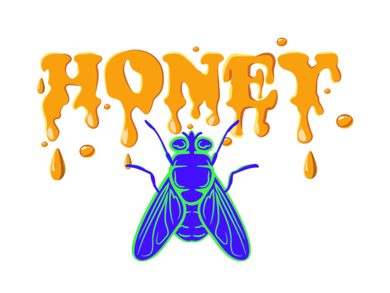 A fly and the word honey written in honey.